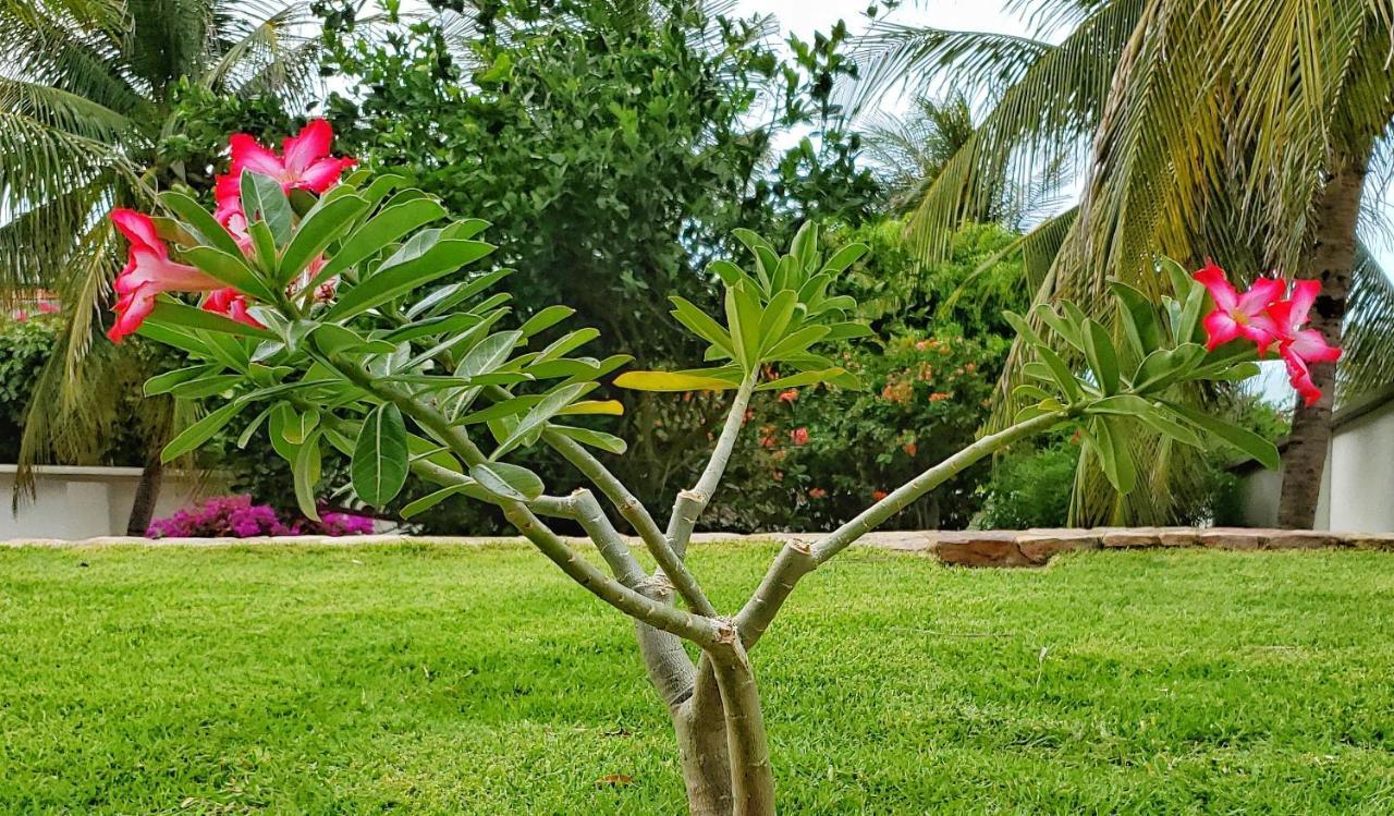 Hotel & Pousada Tatajuba Canoa Quebrada Ngoại thất bức ảnh